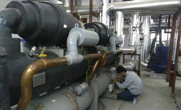 1702429103277235.jpg 2.jpg